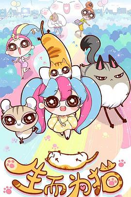 丰泽供应seo怎么选